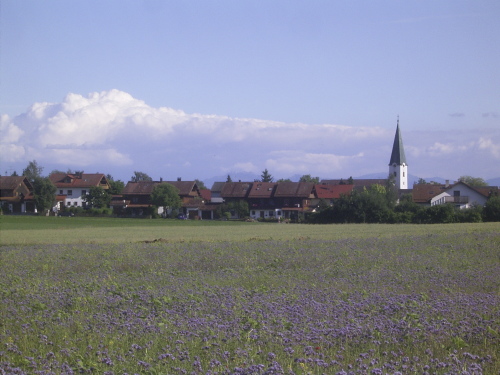 typical bavarian countryside with village in the background